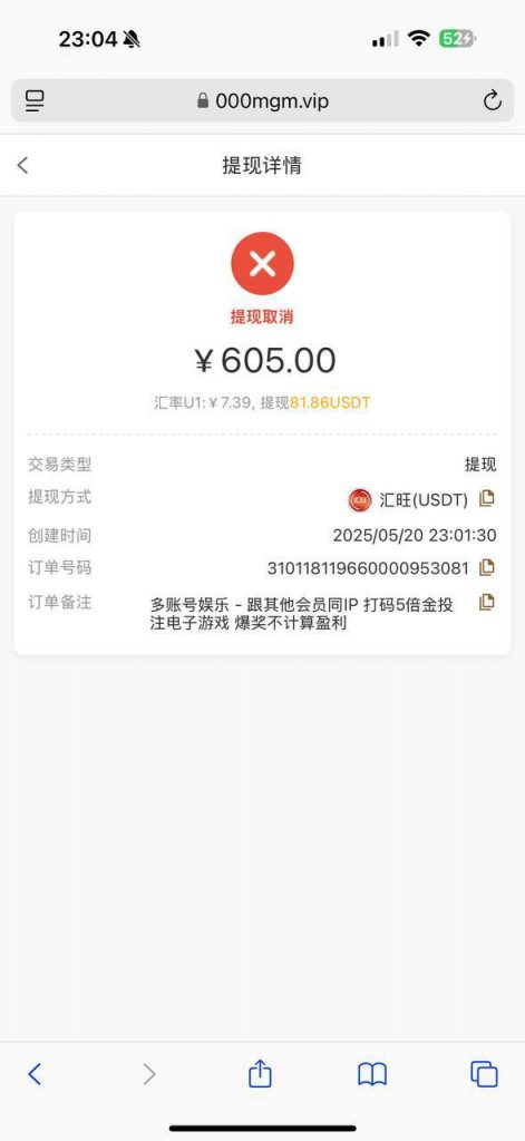 b3a5f2355220250522160356