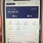 狗推日记:在东南亚到底赚多少钱才叫有钱-白菜网社区-白菜论坛-白菜社区