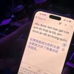 在国外漂泊七年,回头看已经没有什么值得留恋了!-白菜网社区-白菜论坛-白菜社区