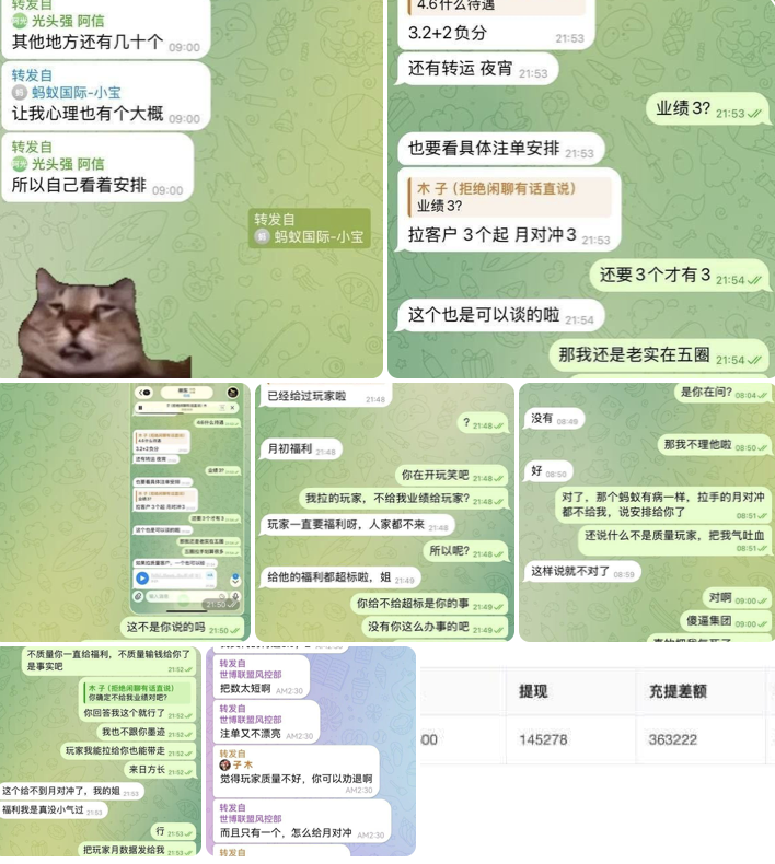 蚂蚁国际 被曝黑代理业绩：十几万 USDT 提成遭赖账-白菜网社区