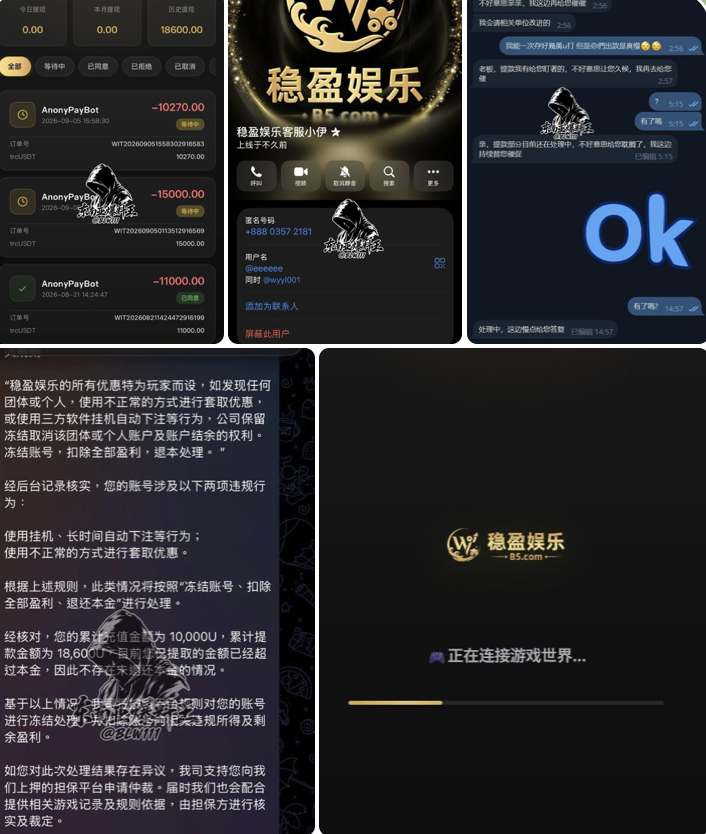 曝光黑平台稳盈娱乐：明目张胆吞 2 万余 USDT，域名廉价、吃钱爽快！-白菜网社区