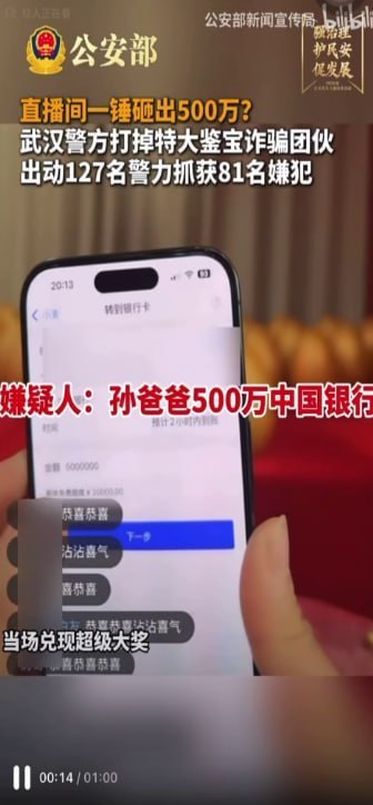 武汉警方打掉特大“鉴宝”直播诈骗团伙：81人被刑拘，涉案超千万元-白菜网社区