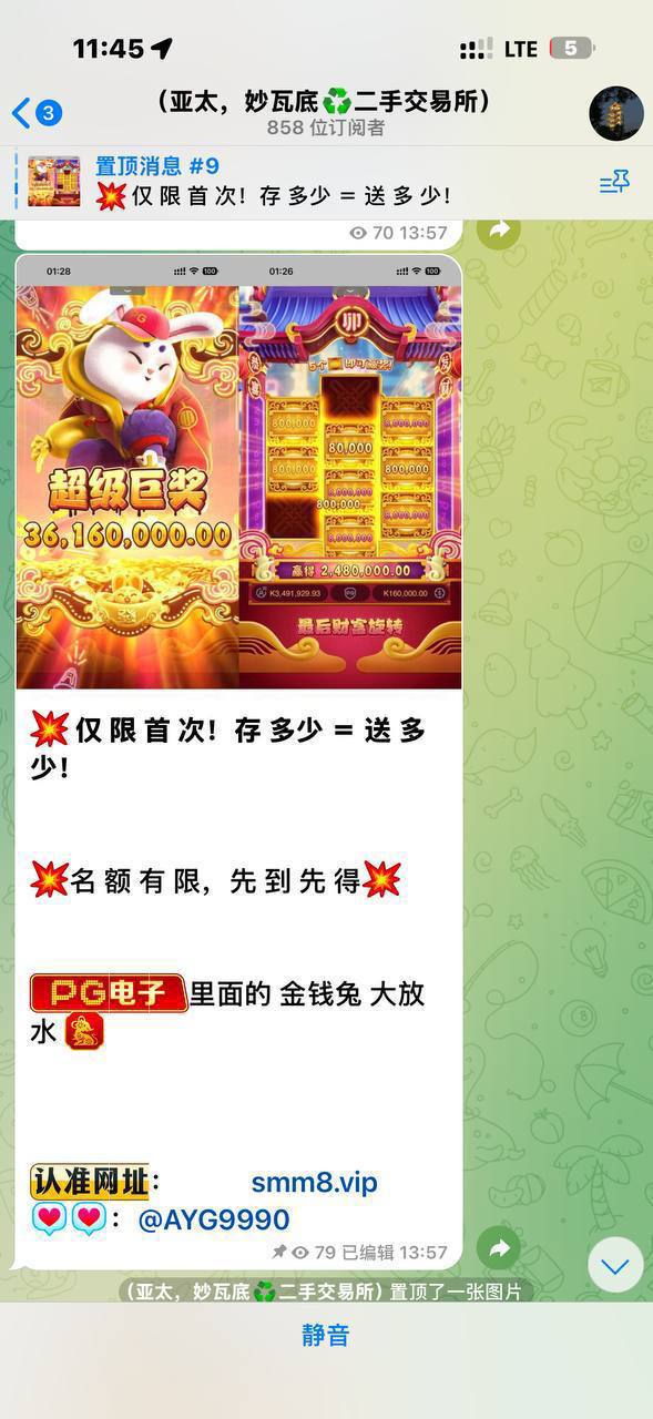 图片[2]-博彩社区曝光-SMM9. VIP 被曝提现反复延迟，玩家称与朋友均遭遇拒付-白菜网社区