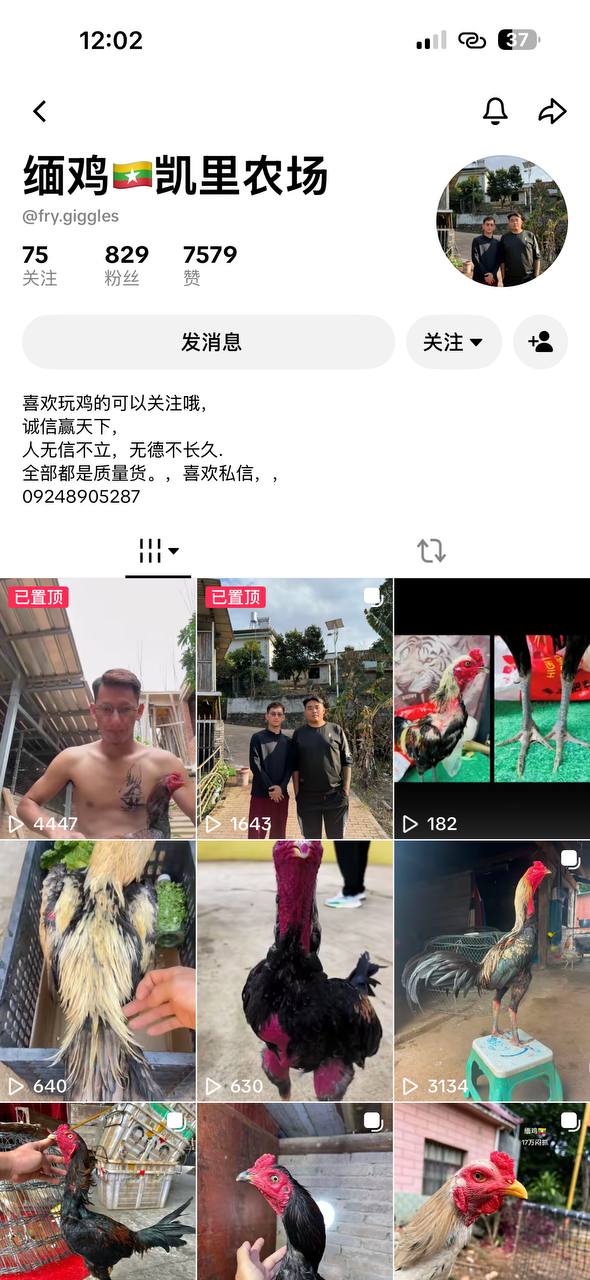 博彩社区曝光-网友曝光-白菜网社区