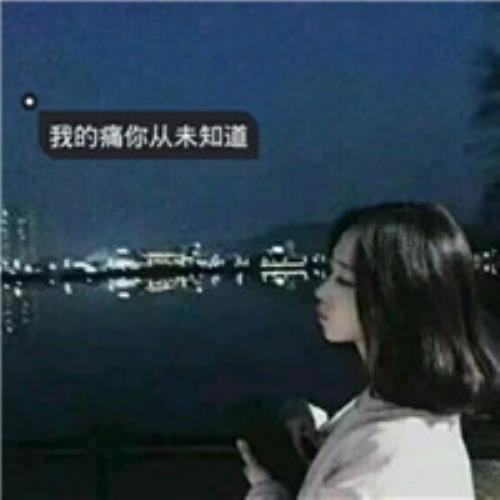 第 一 先 生的头像-白菜网社区