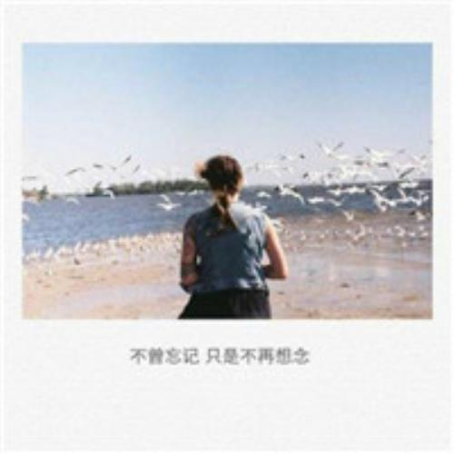 集团8台直营招商-白泽的头像-白菜网社区