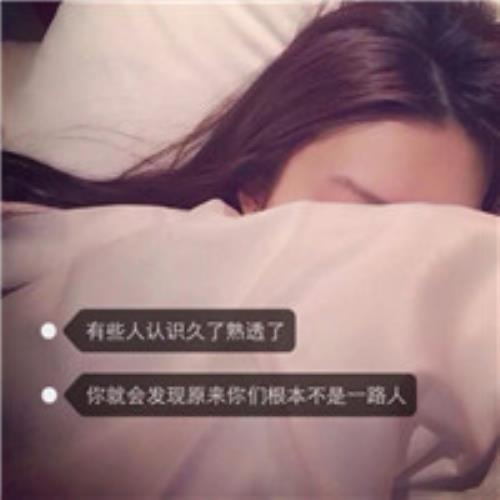 捂风挽笑的头像-白菜网社区
