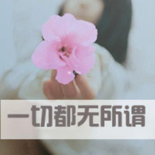 吱屋猪的头像-白菜网社区