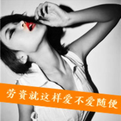 七宝的头像-白菜网社区