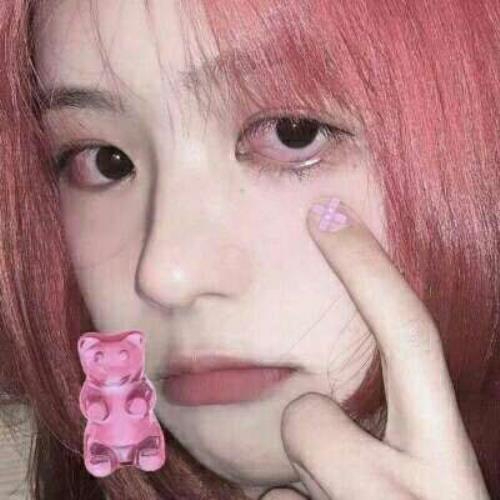 瞌睡虫的头像-白菜网社区